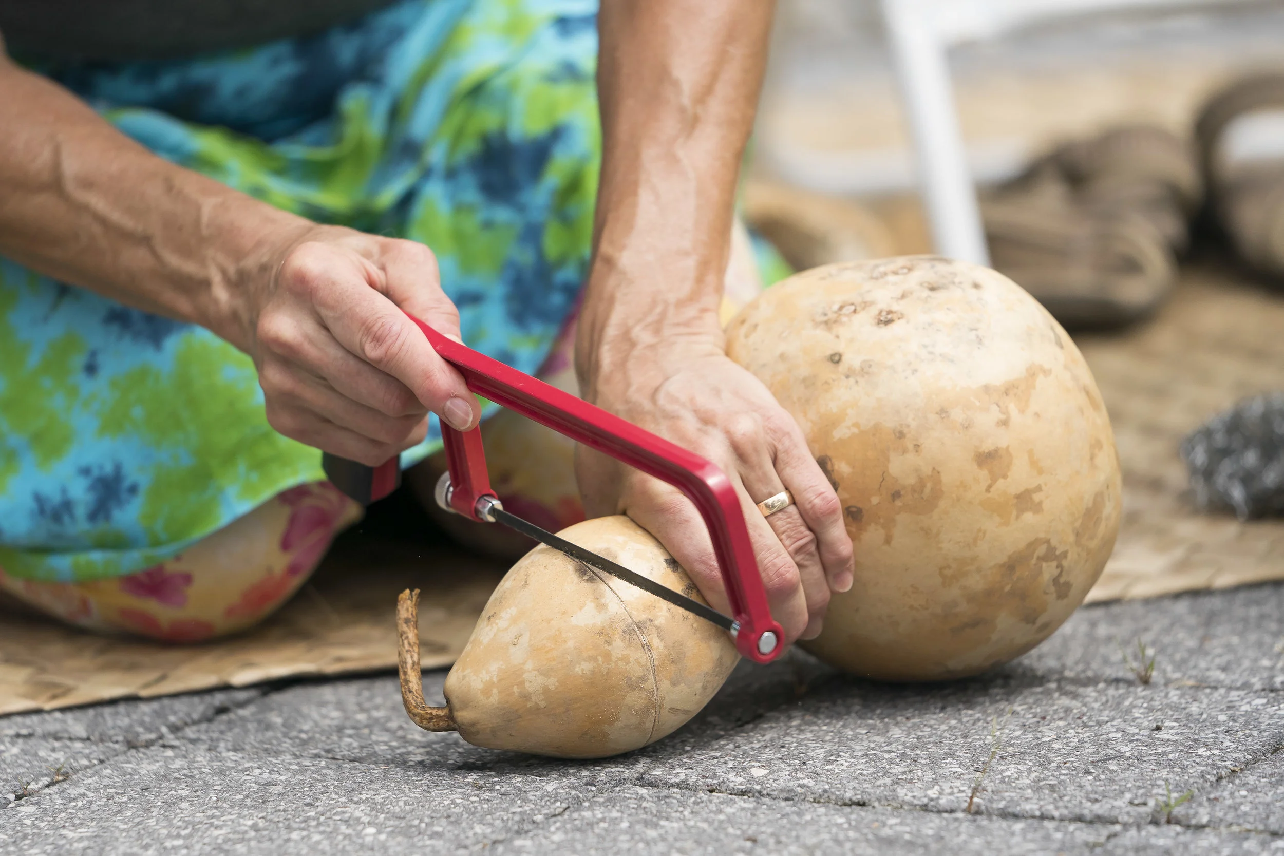 Hawaiian Gourd Instrument.JPG