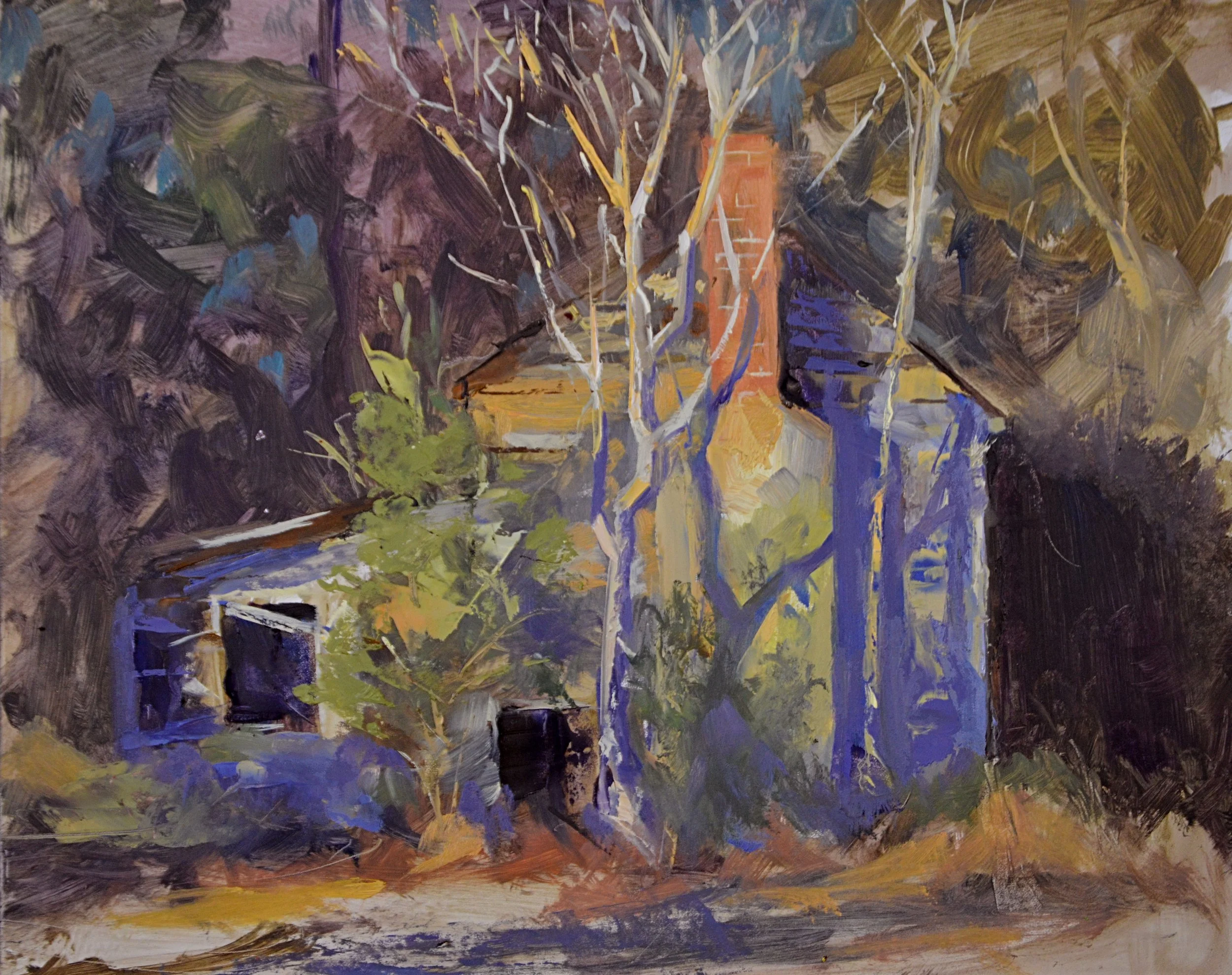 Shack (Jon's property)(1-24).JPG