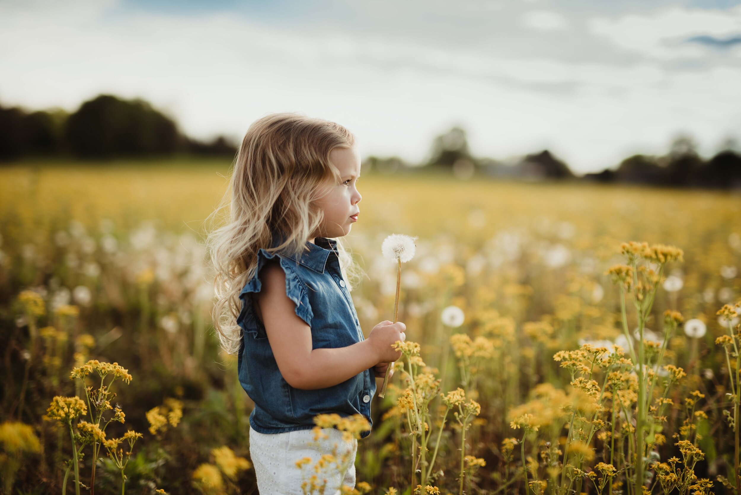 3 year old girl in a wildflower field in Lafayette, Indiana during her milestone photo session with Kelly McPhail Photography.