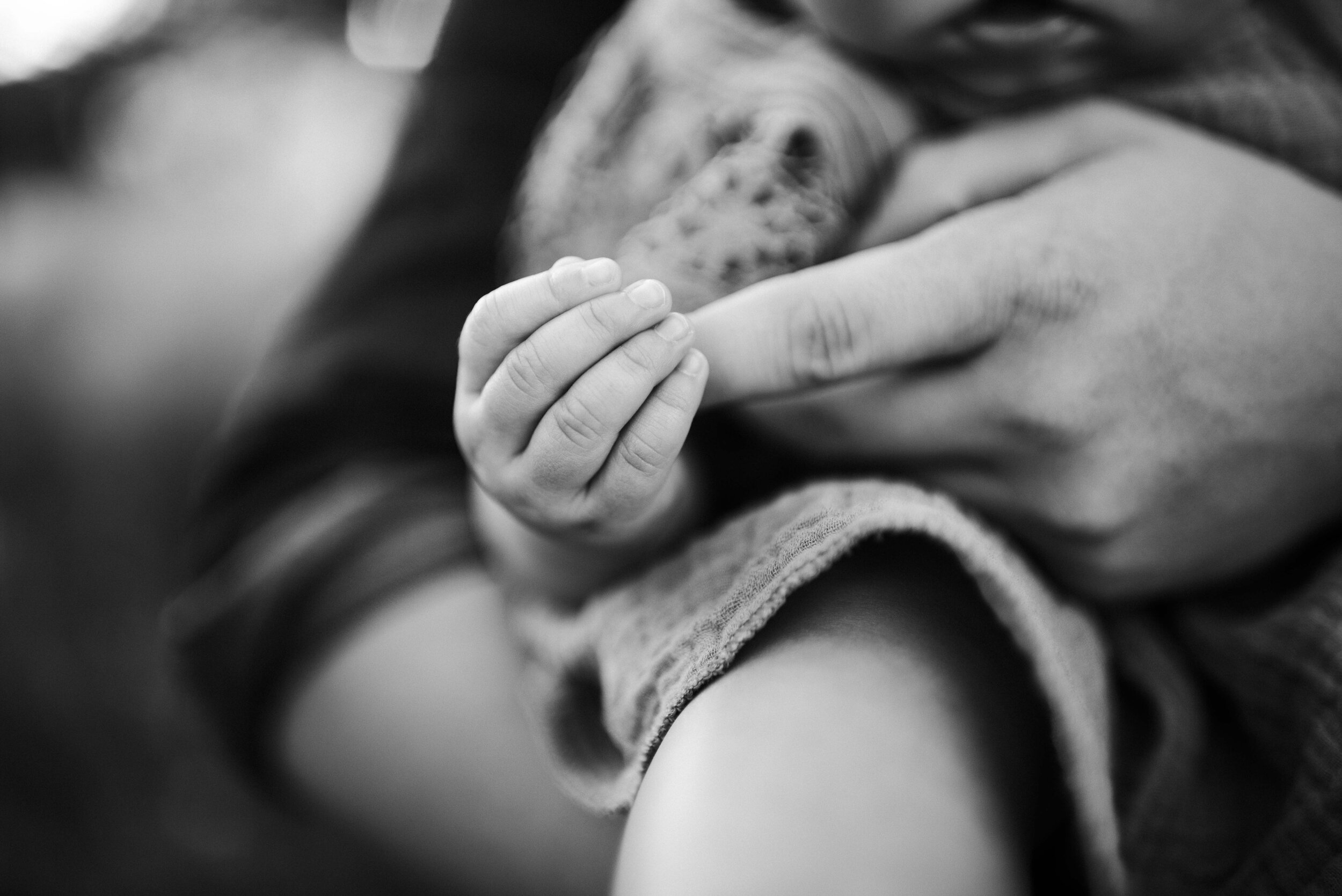 little baby hands black and white photo at Family photo session in Carmel, Indiana