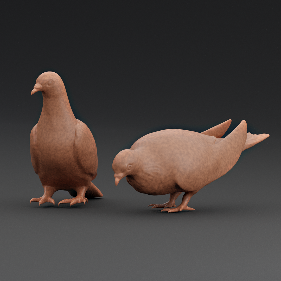 pigeons.png