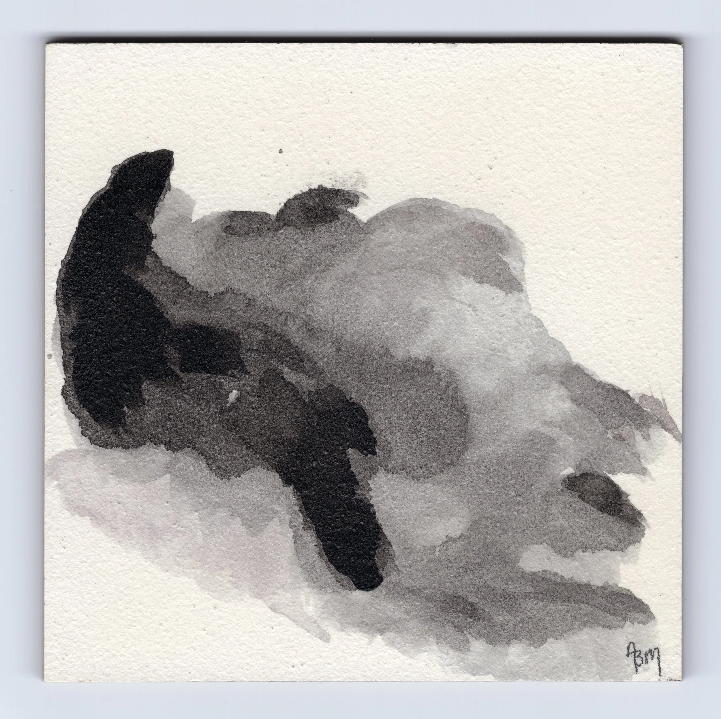 2017 100 Day Project - #10