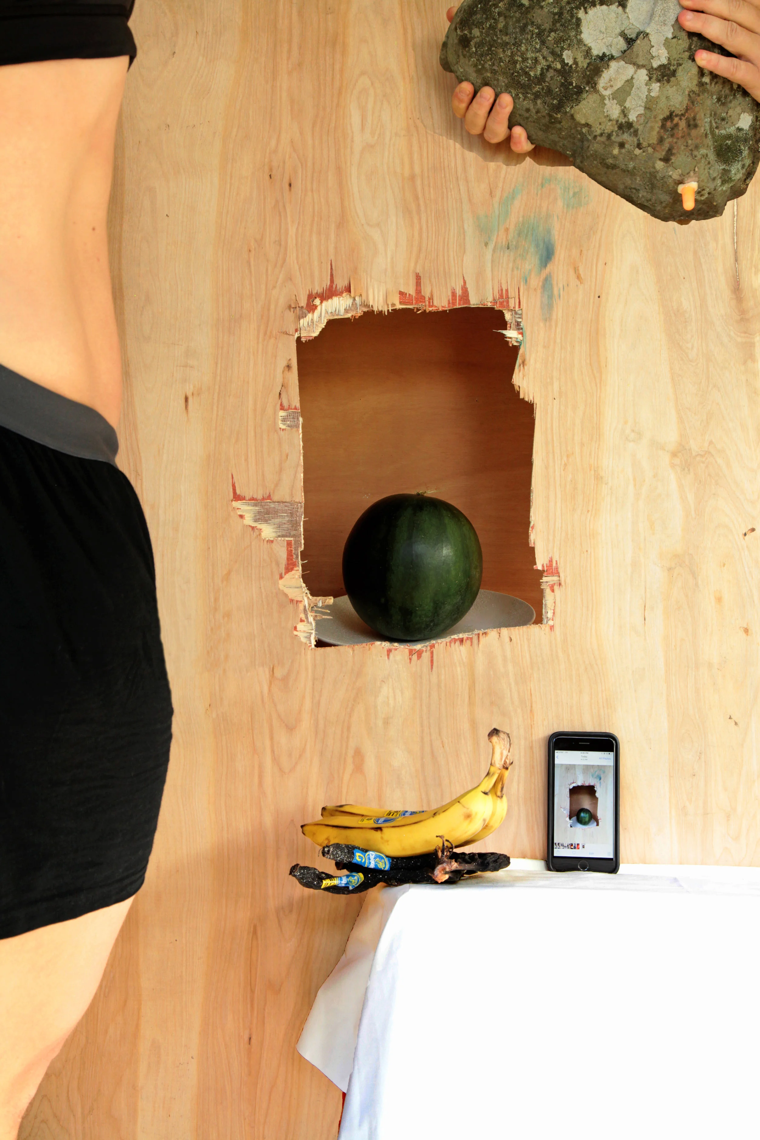 Still Life after Cotán​, 2018. Digital C-Print. 70 x 45 in.