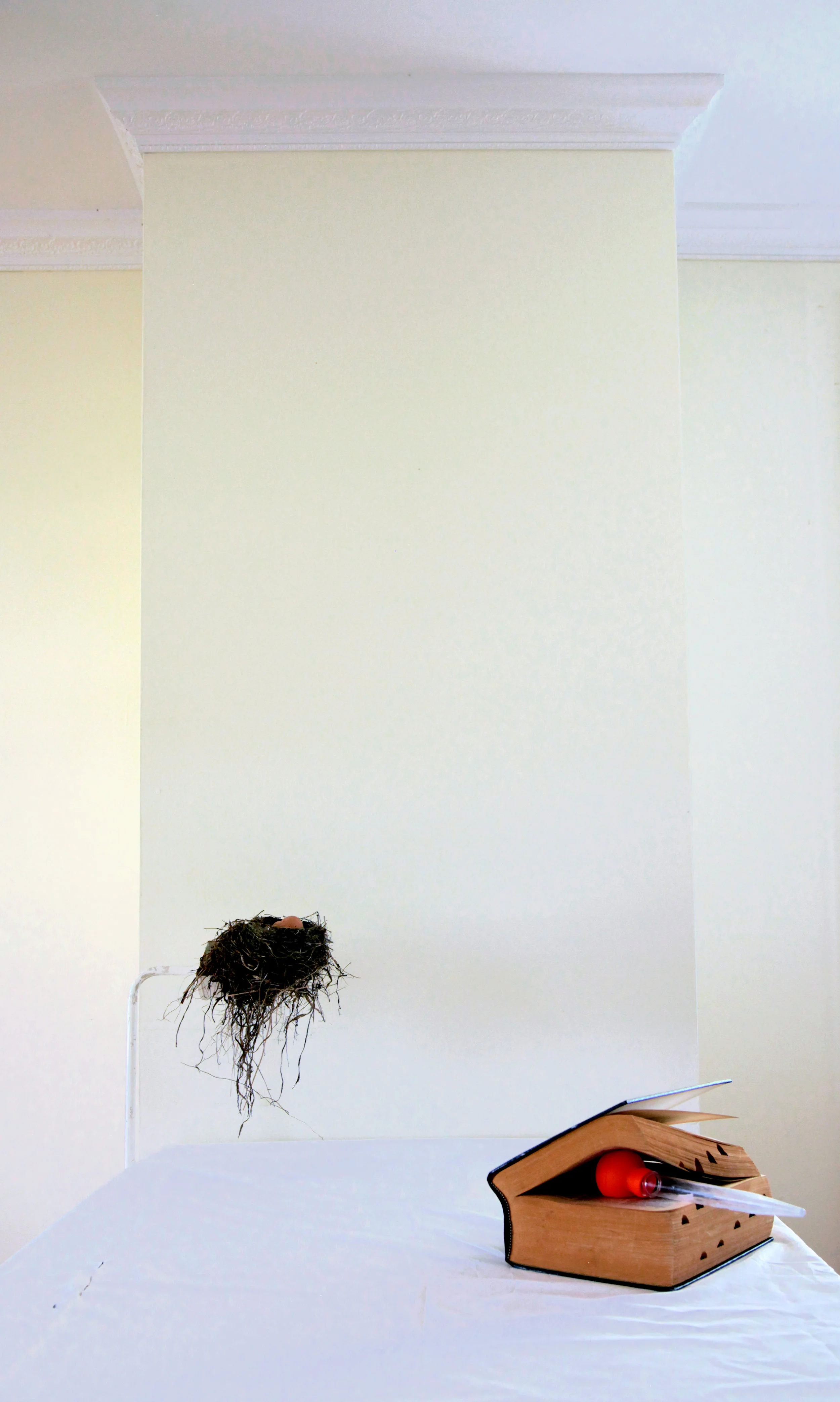 Still Life for Lesbian Friends, 2018. Digital C-Print. 20 x 30 in.