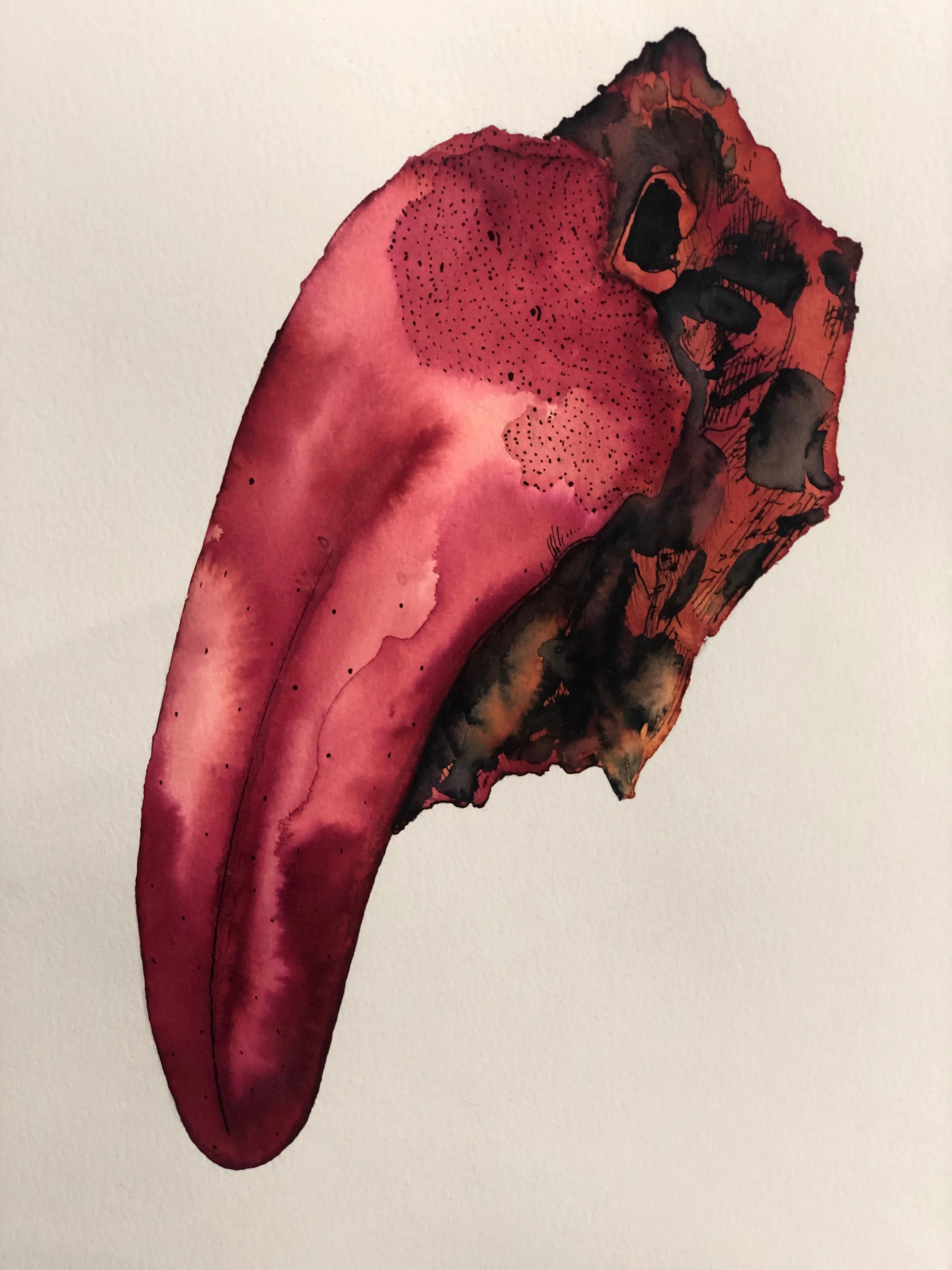 Sappho’s Tongue (Action Drawing Series), 2018. Ink on Paper. 19.5 x 15 in.