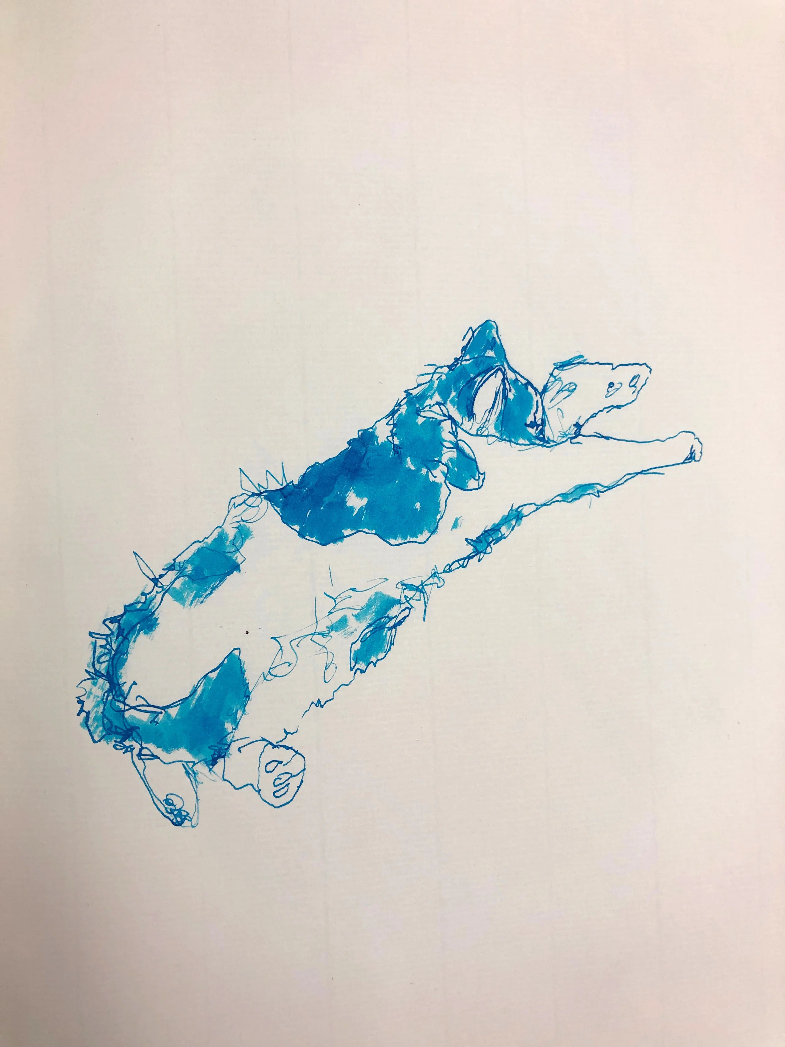 Puffball (Action Drawing Series), 2018. Ink on Paper. 11.5 x 8 in.