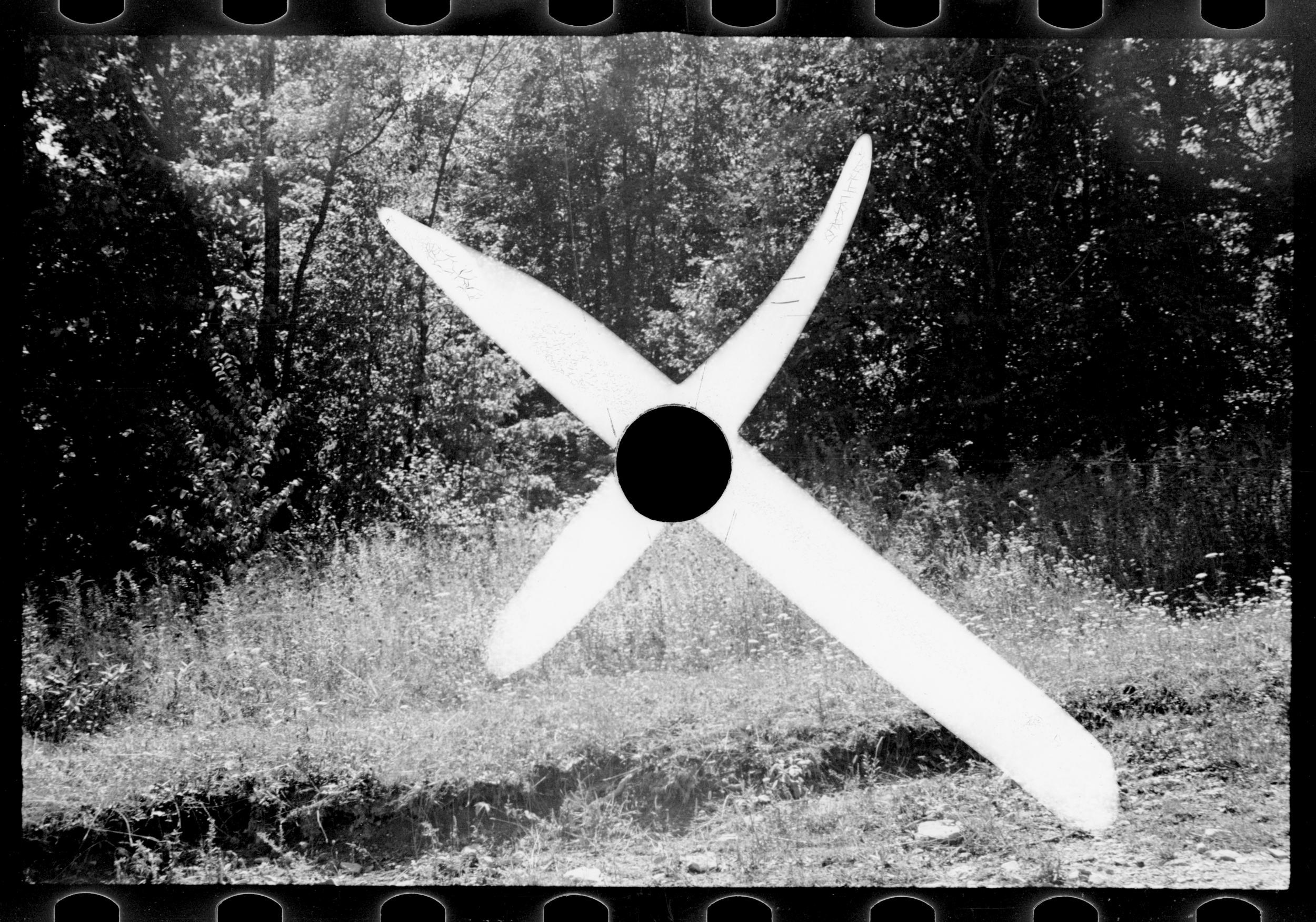 2_Breiding_Work-Sample-Cross (From FSA Killed Negative Series).png
