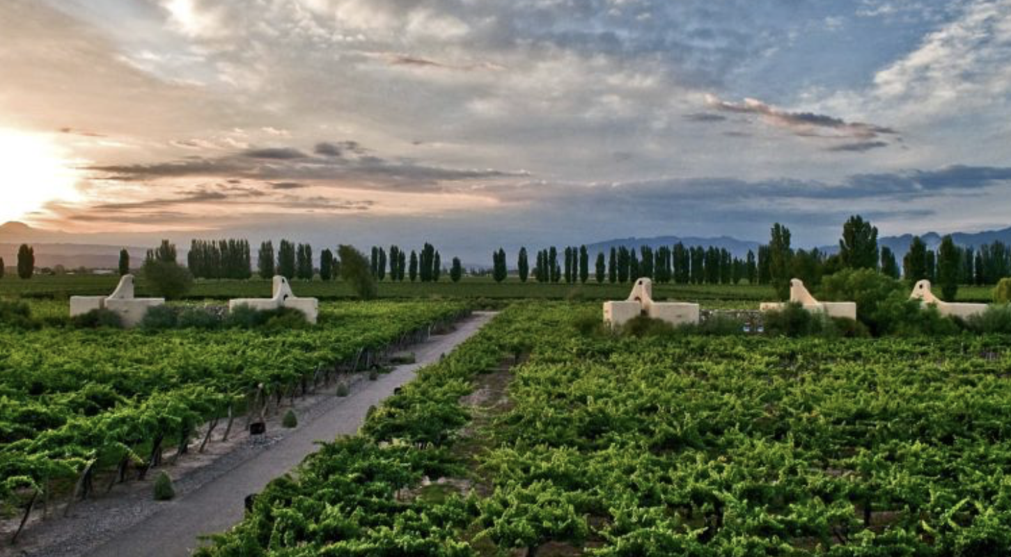 Touring the wineries of Uco Valley in Argentina