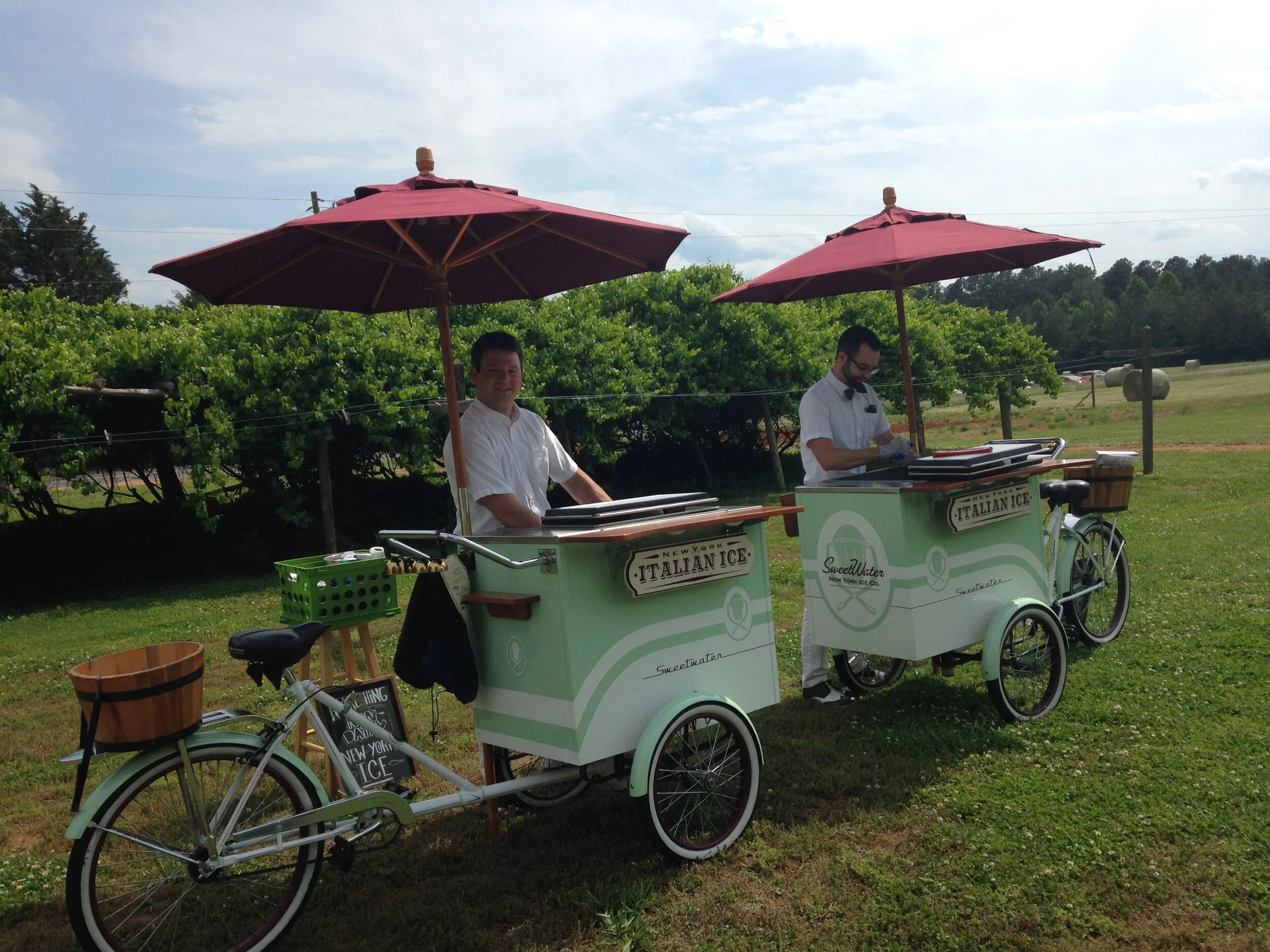 Picture Book icecream vendor at Het landhuis.JPG