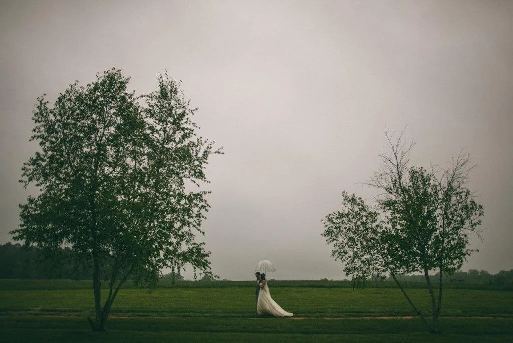 Picture Book (4).JPG