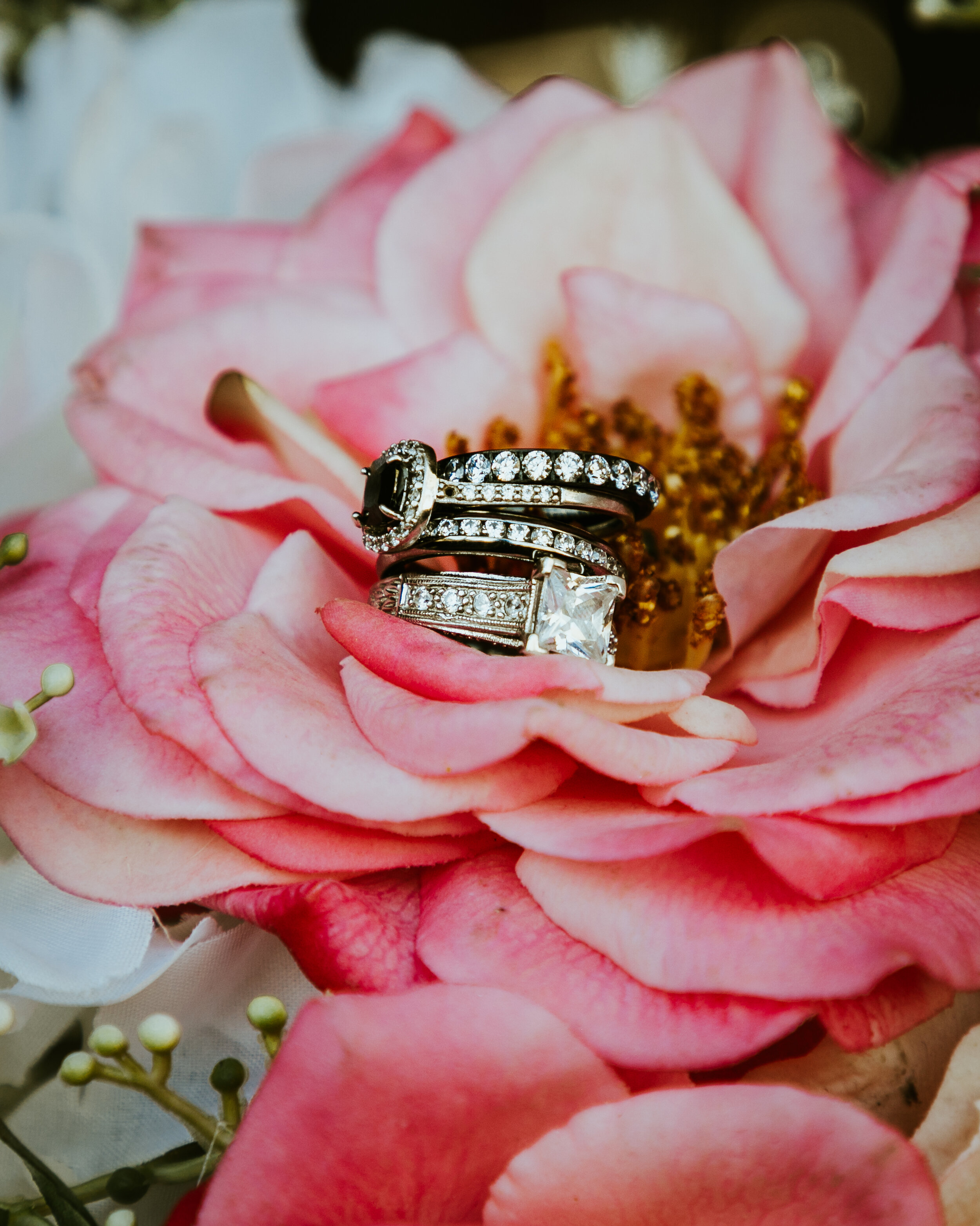 CHAPEL-OF-THE-HOLY-DOVE-FLAGSTAFF-ARIZONA-WEDDING-31.jpg