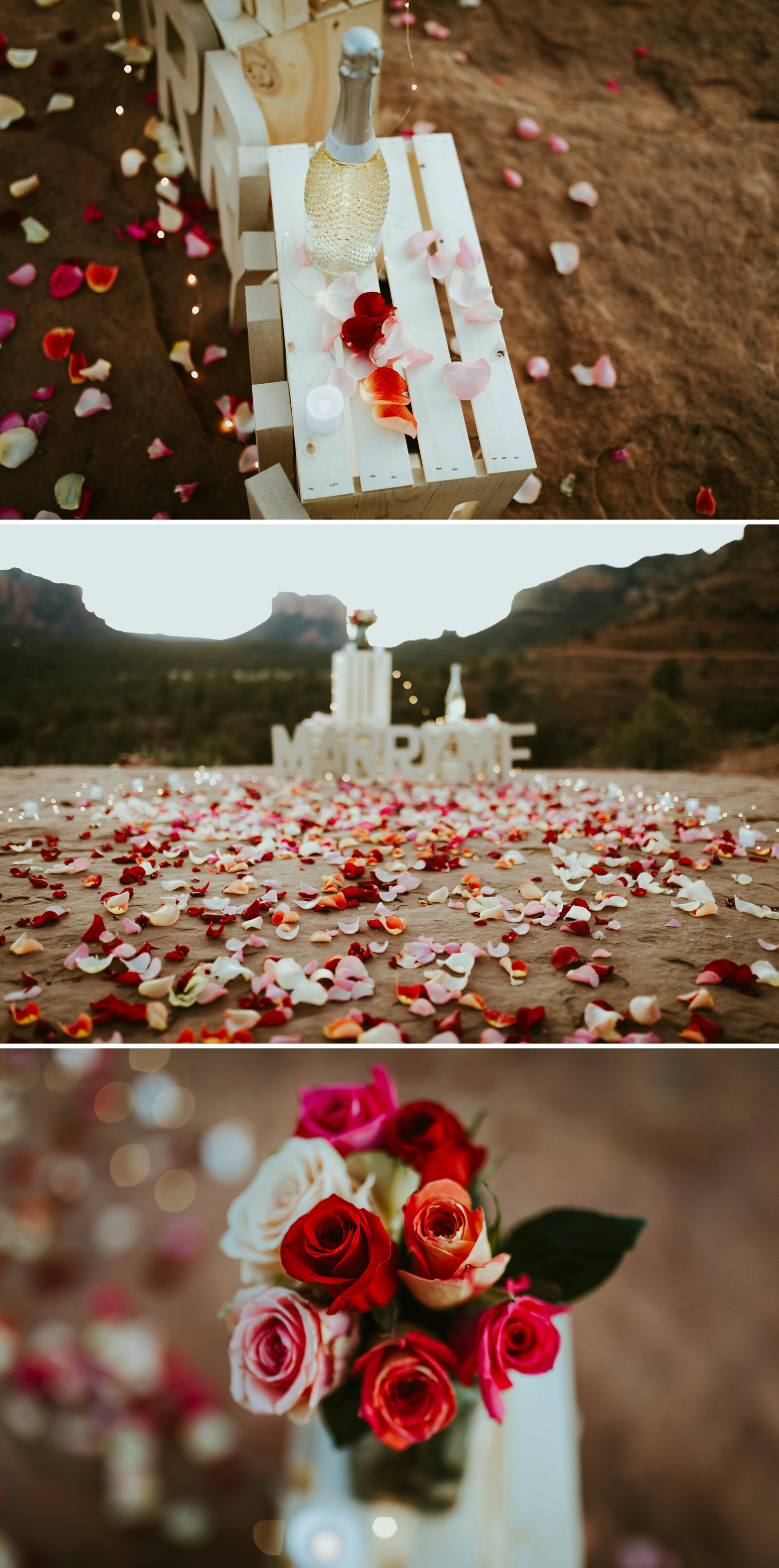 sedona arizona surprise proposal and engagement session at cathedral rock-1.jpg