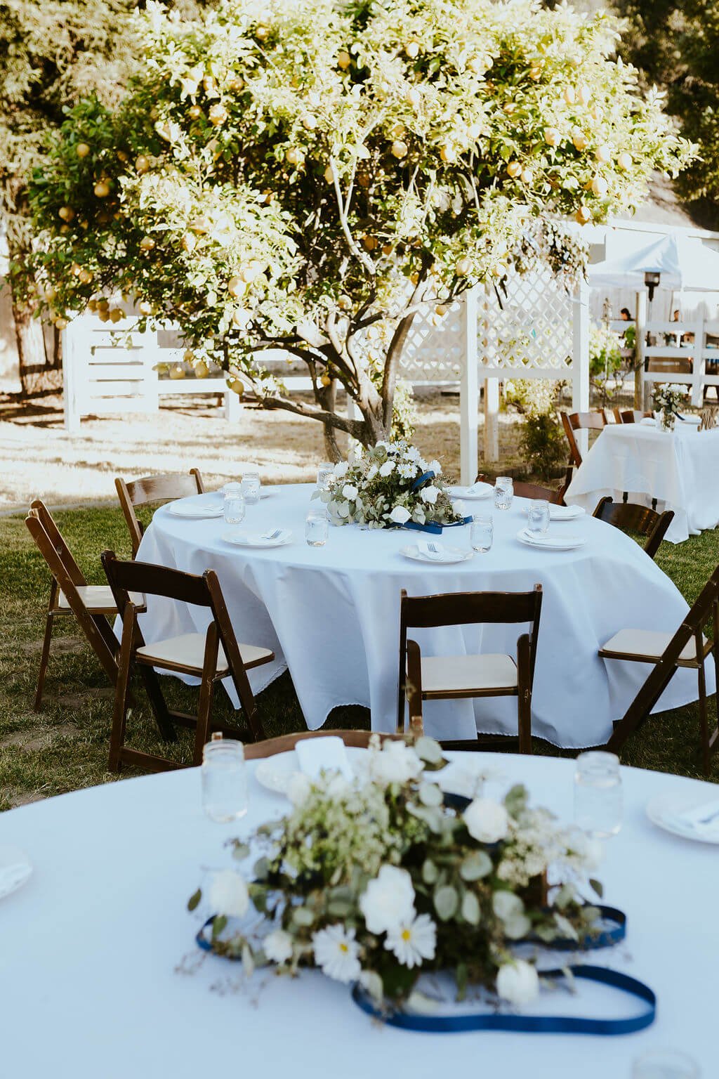 Reception tables on green lawn with lemon trees for Southern California wedding