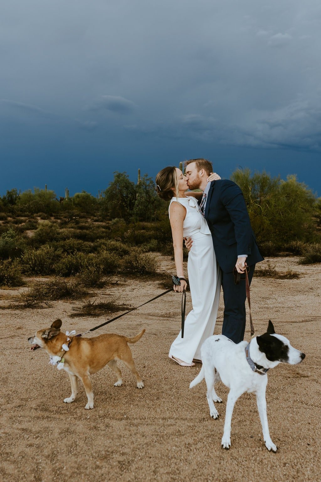 Bride and groom kiss while walking their two dogs on their fall wedding day in Arizona