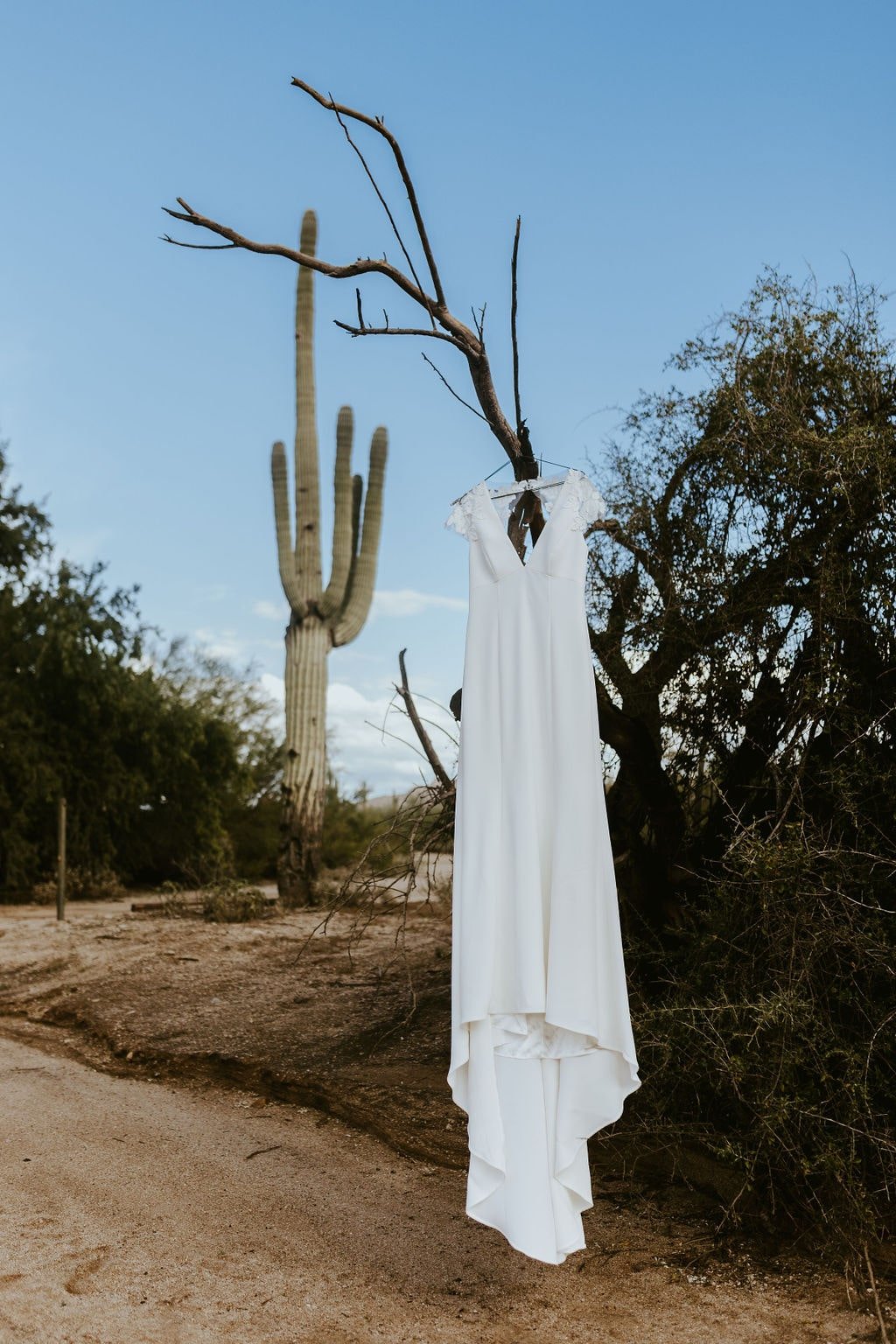 White wedding dress hanging from a tree at Desert Foothills Events wedding venue in Arizona