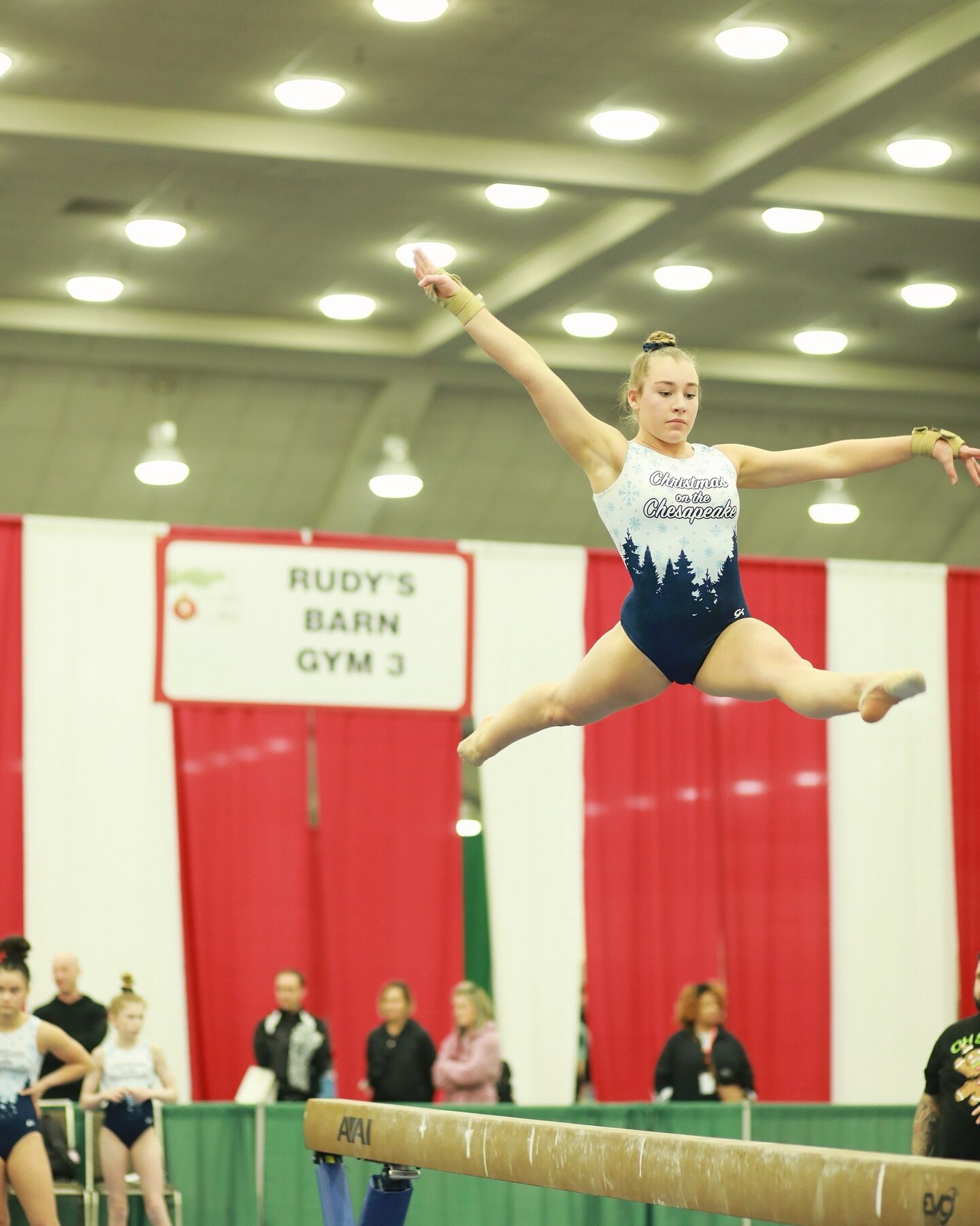 Great job to all the gymnasts who competed on day one! Day two is already in full swing and we can&rsquo;t wait to see everyone! Don&rsquo;t forget to tag @christmasonthechesapeake and use our hashtag #cotcmeet2023 to have your posts featured. 💙❄️

