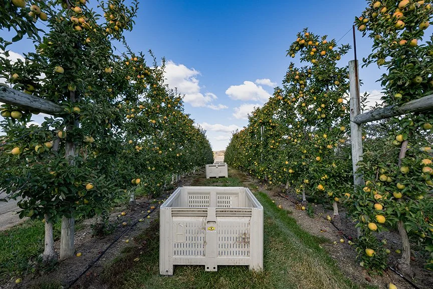  Photo by Heather Rodburg 