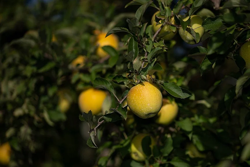  Photo by Heather Rodburg 