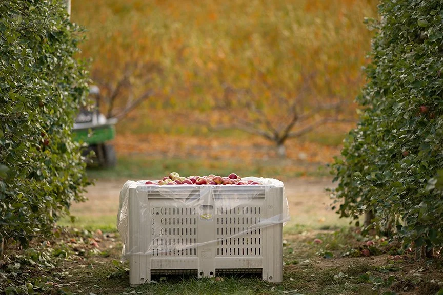  Photo by Heather Rodburg 