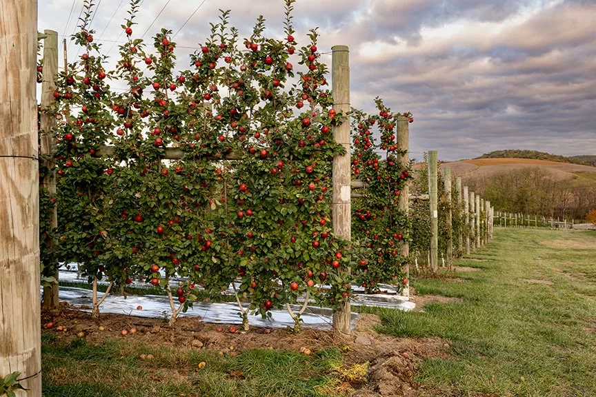  Photo by Heather Rodburg 