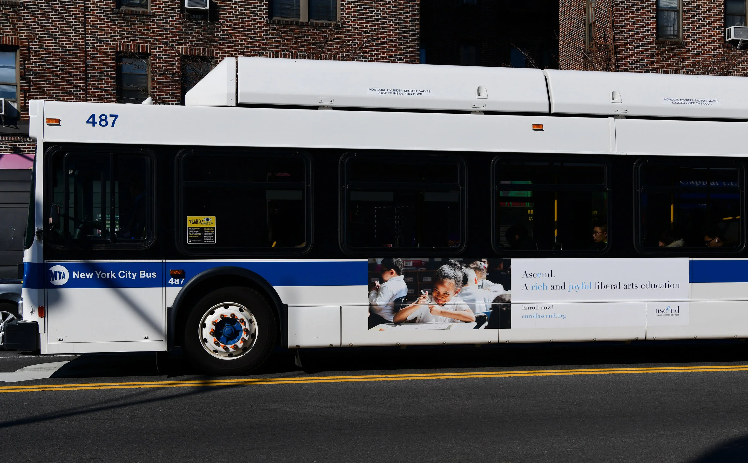 Ascend Learning-BC24-M8-King-2782113-3.11.19_edit.jpg