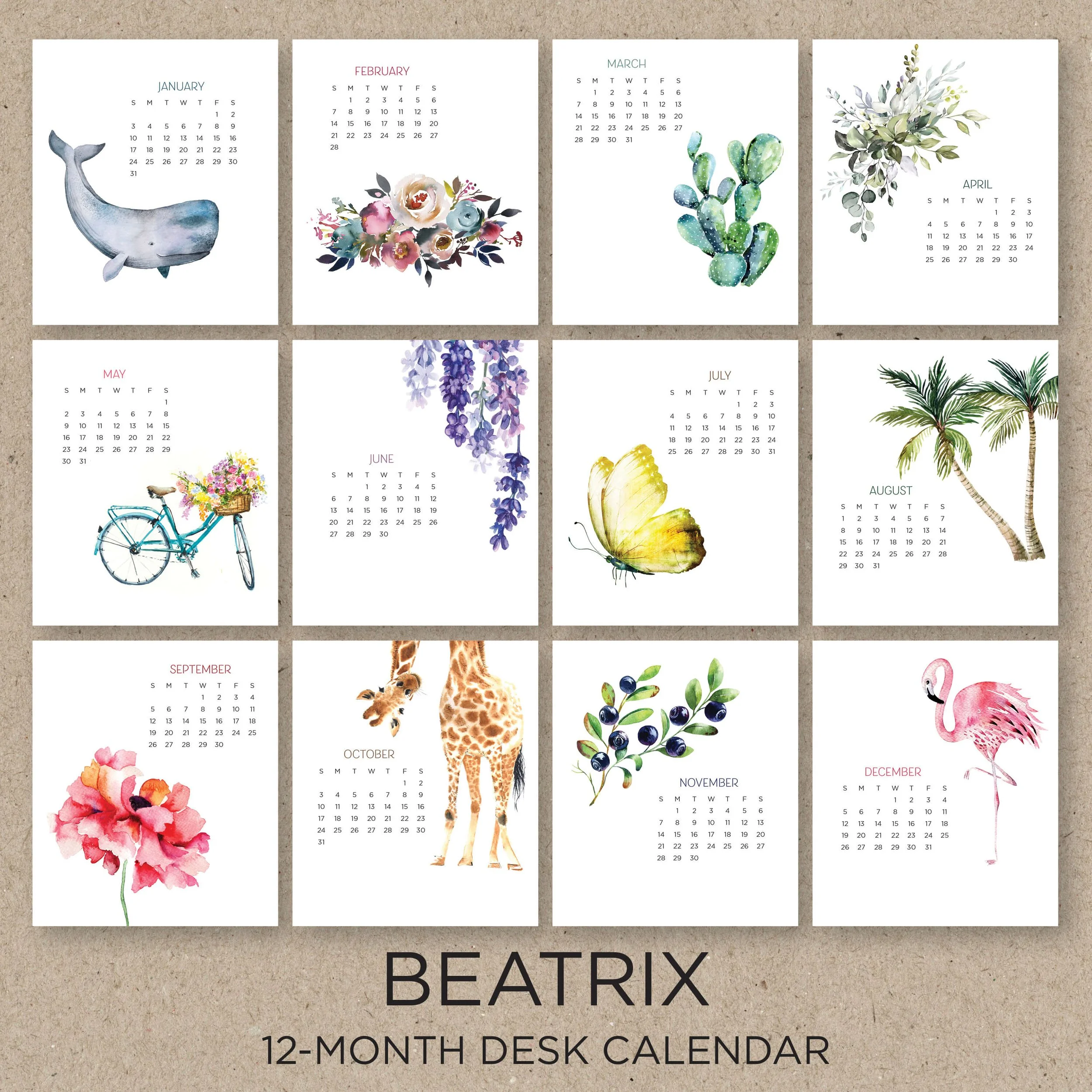 BEATRIX_EtsyPics2.jpg