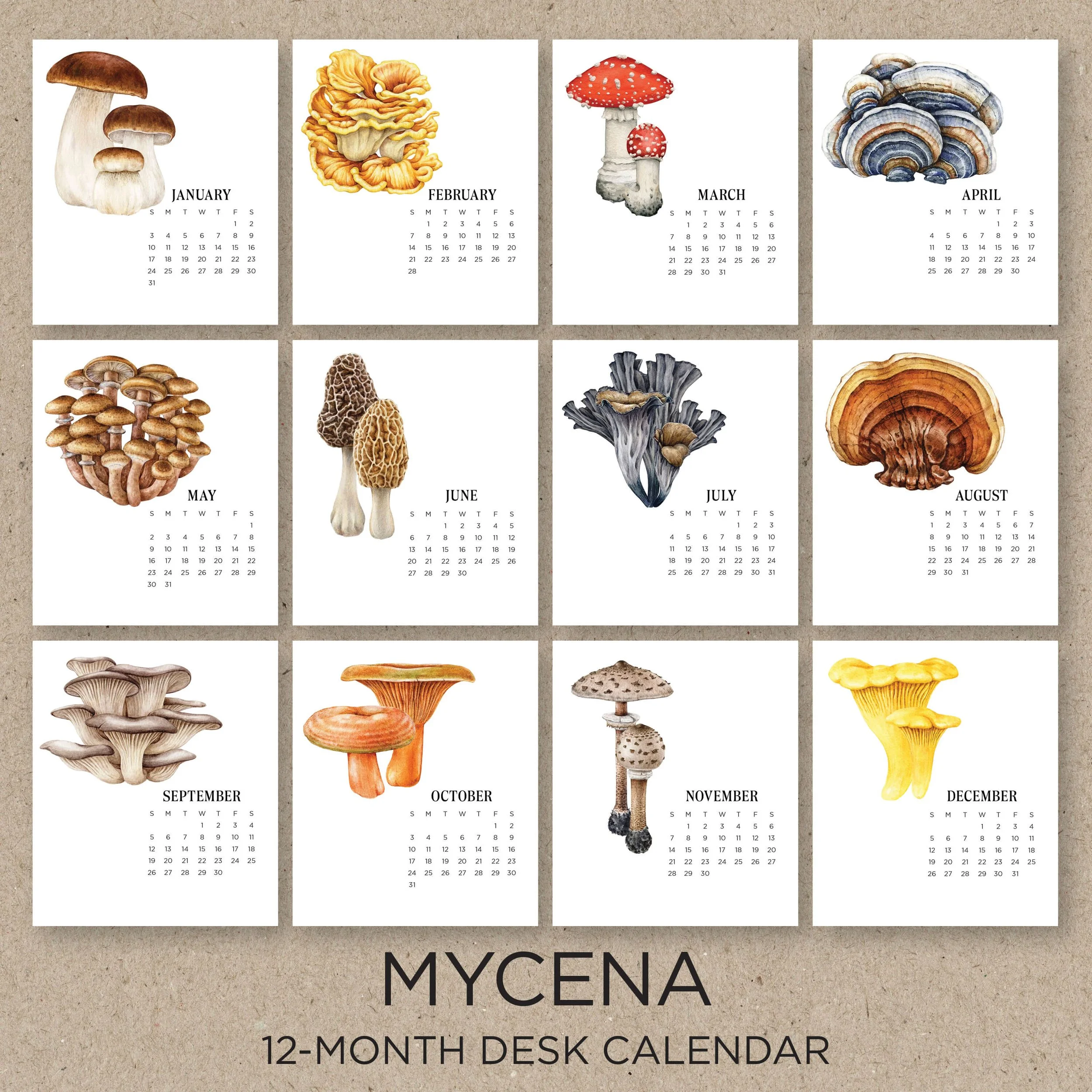Mycena_EtsyPics2.jpg