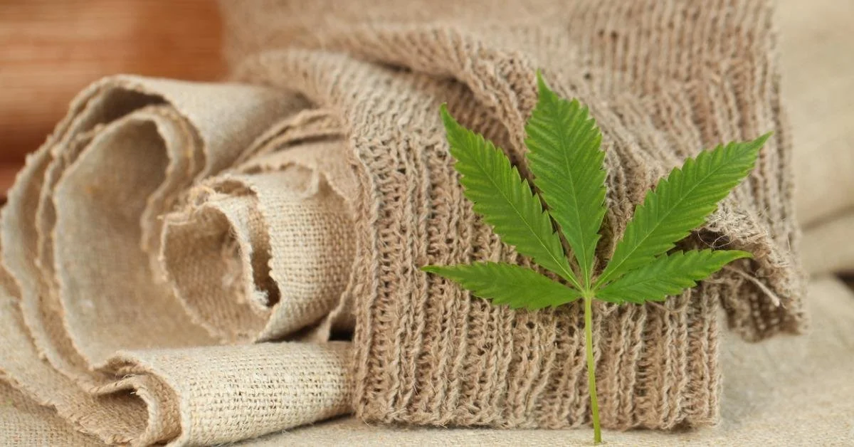 Hemp textile fibers