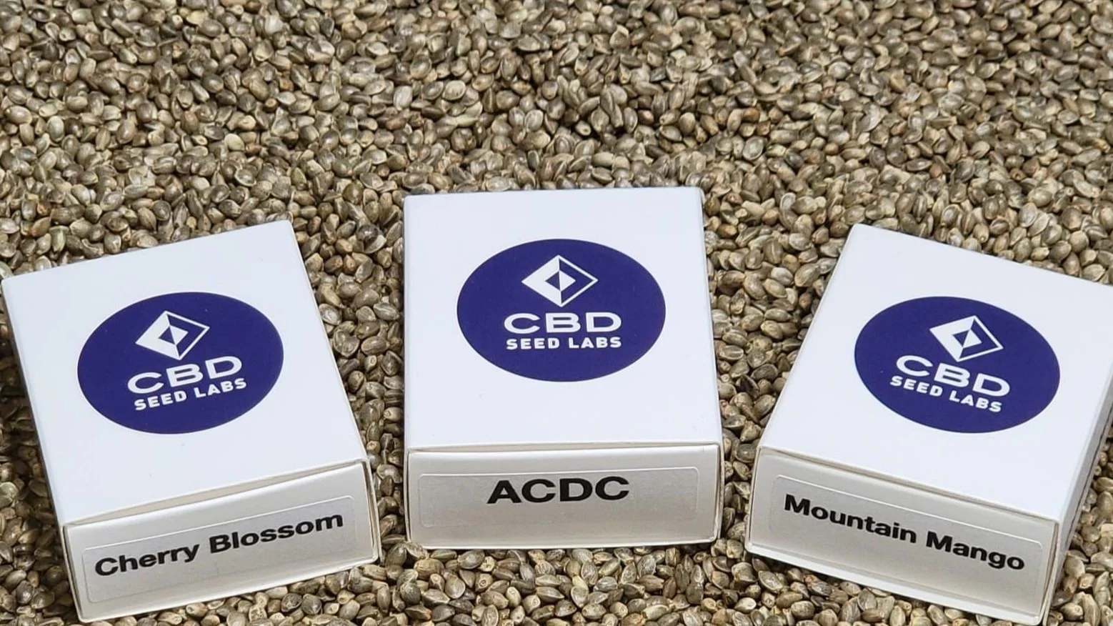  Seed Sampler Pack (Receive up to 30% discount when you choose 3x Strains) 