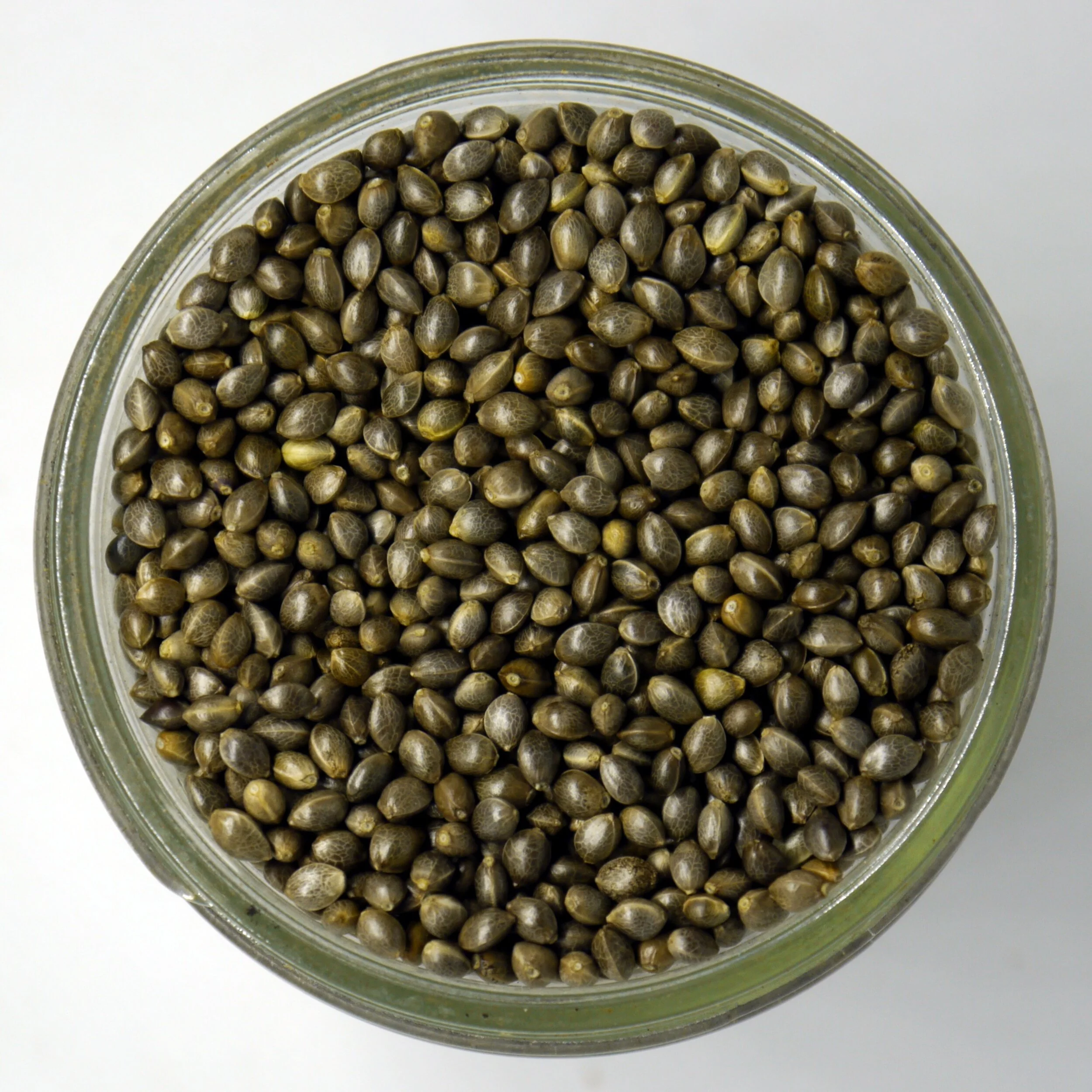 Feminized Cherry Blossom seeds