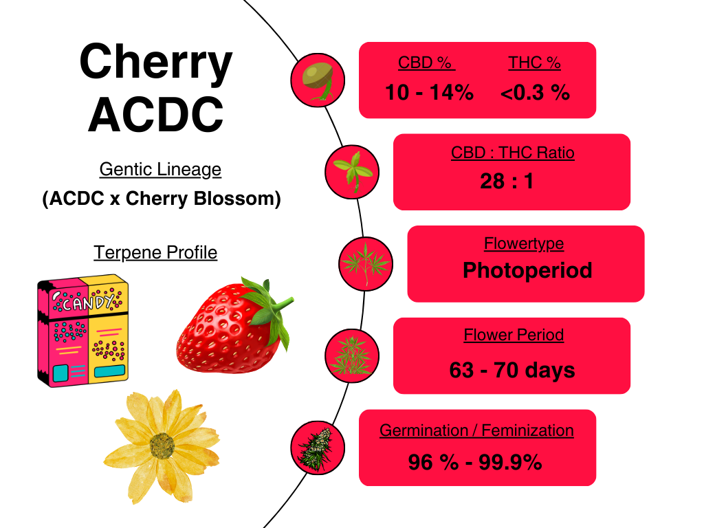 Cherry ACDC info