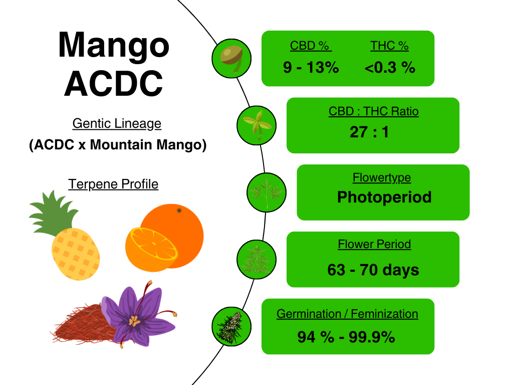 Mango ACDC info card