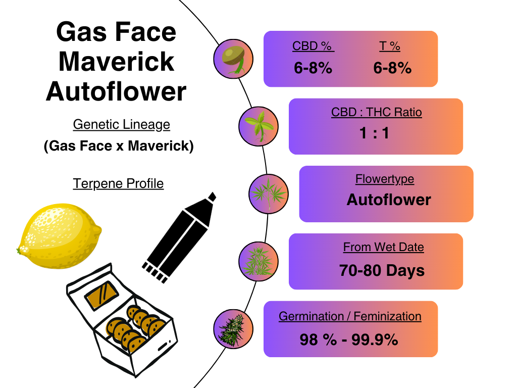 Gas Face Maverick Autoflower promo