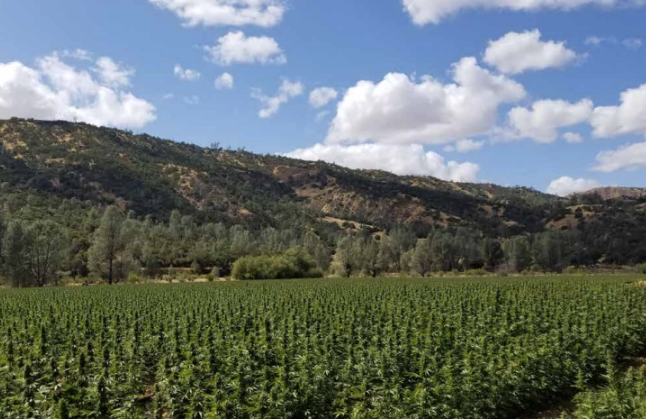 Pipeline open field