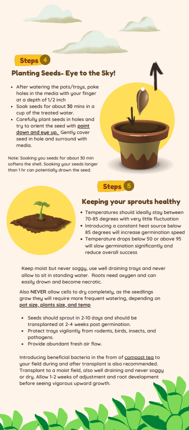 CBD Seed Labs Planting Guide – Page 2