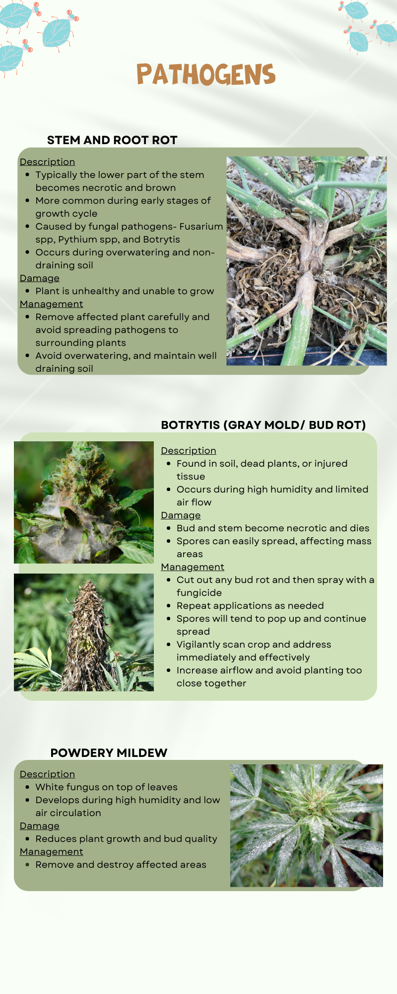 IPM Guide – Page 3