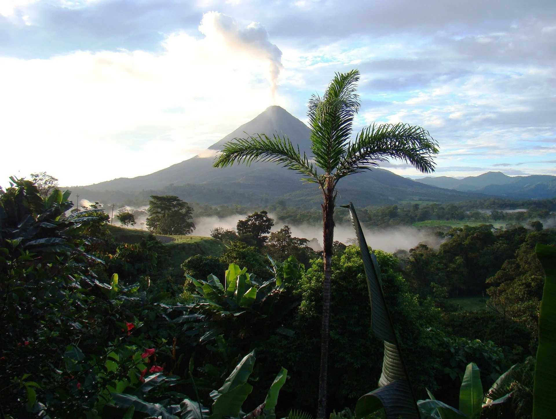 Costa Rican hemp landscape