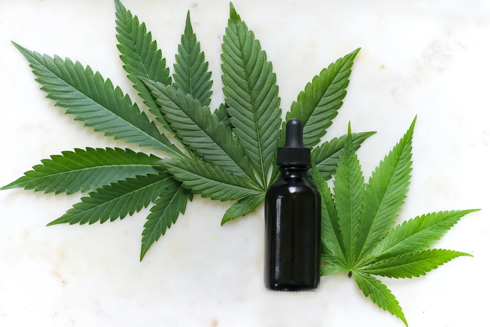 CBD oil dropper bottle with hemp leaves