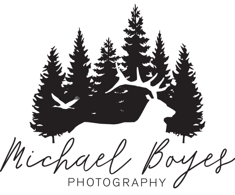 Michael Boyes Photography