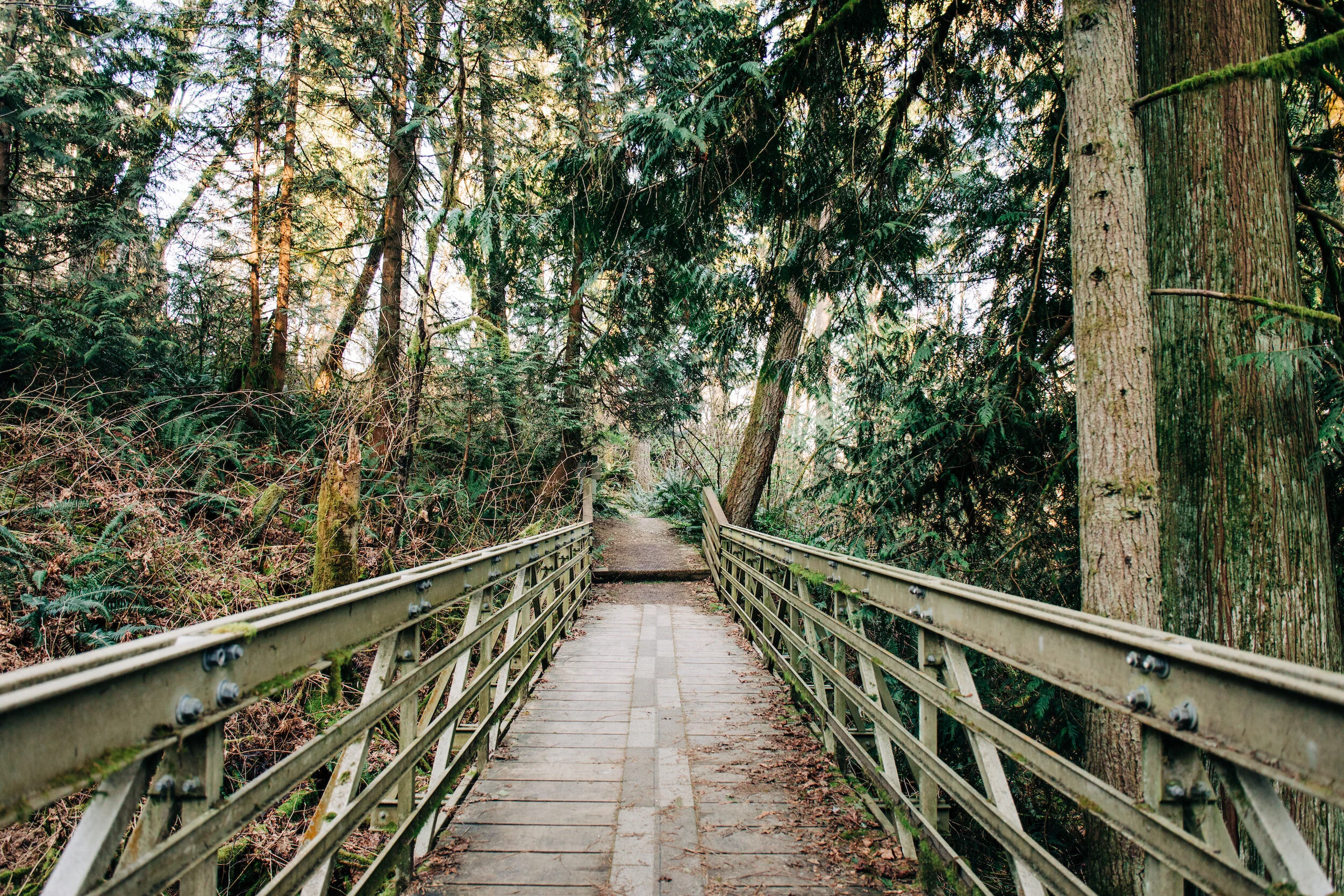 Immersive Hiking Video