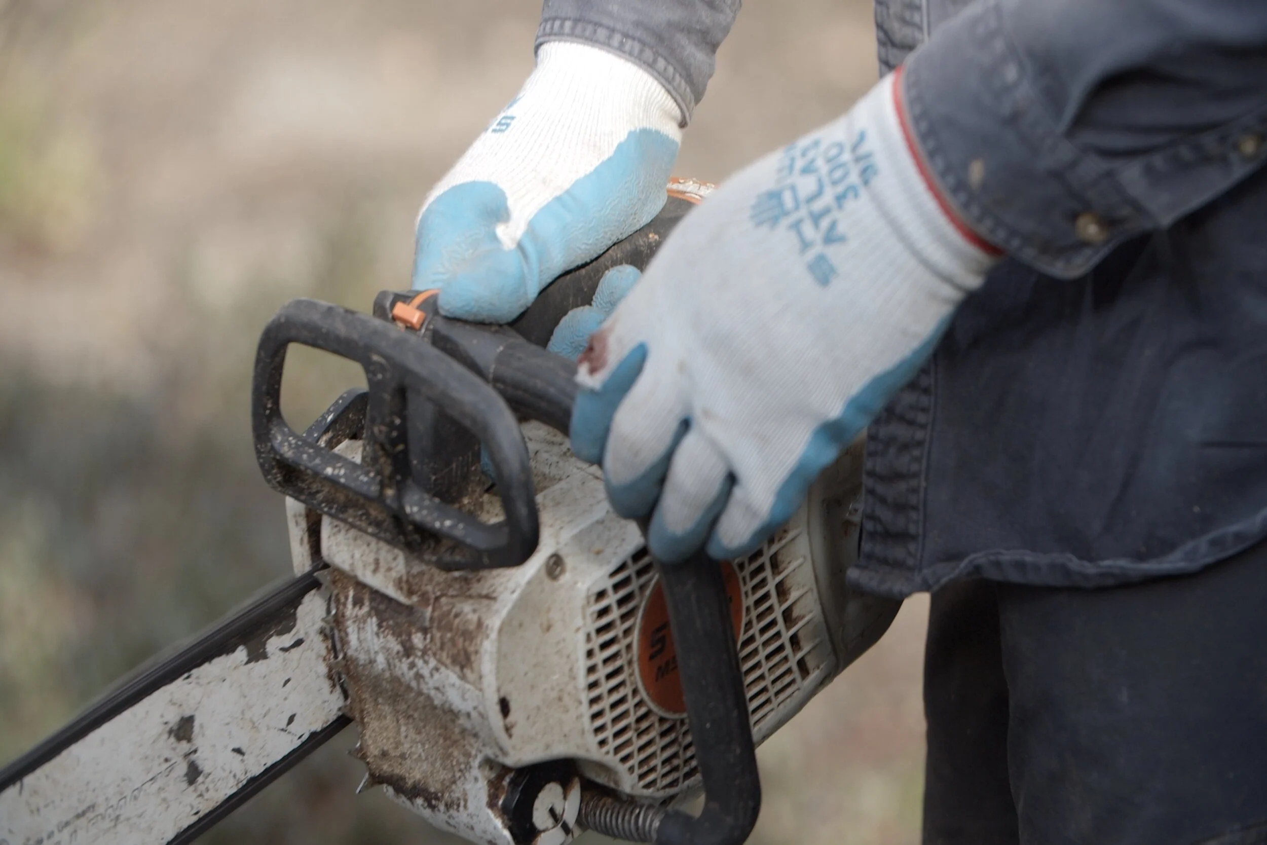 Progression Tree Care Banner Video