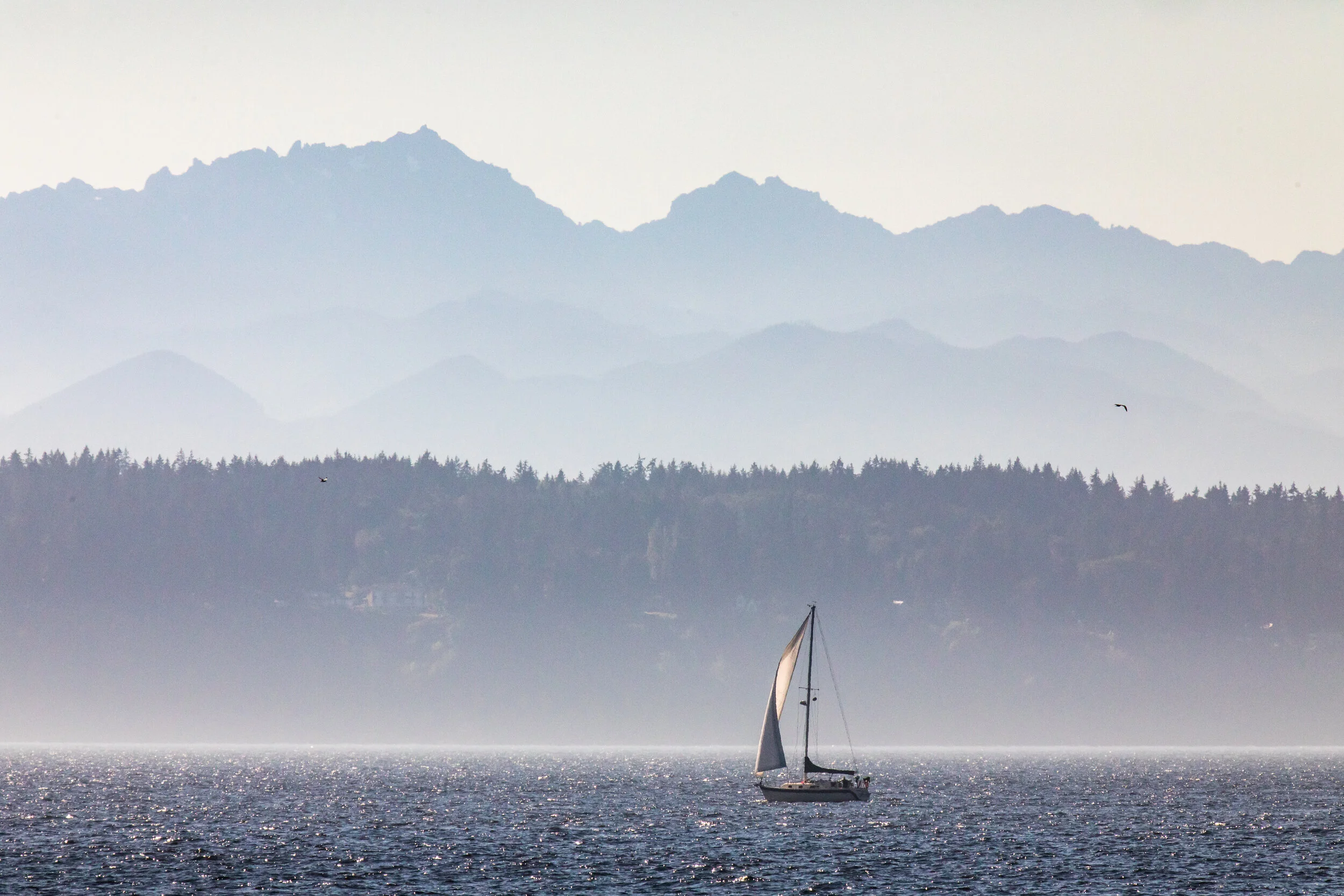Summer Along Elliott Bay