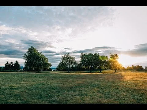 Erik Satie and the Book