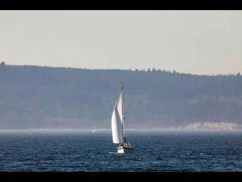 We are the Stuff of Dreams