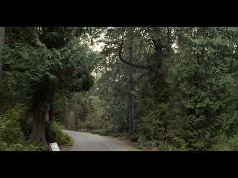 A Brief Forest Float