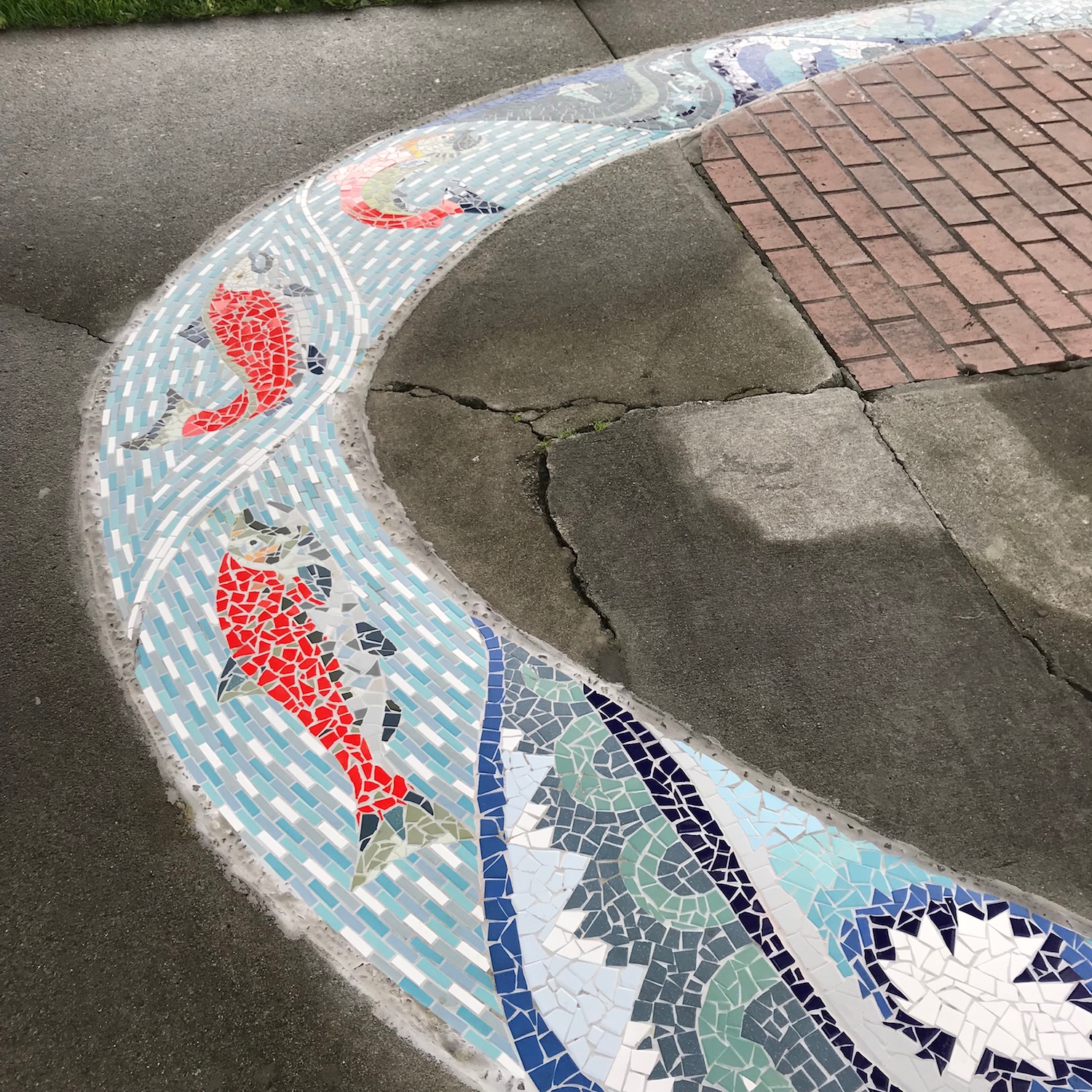 05-gabrielle-strong-public-art-mosaic-river-vernon-salmon-ogopogo.jpg