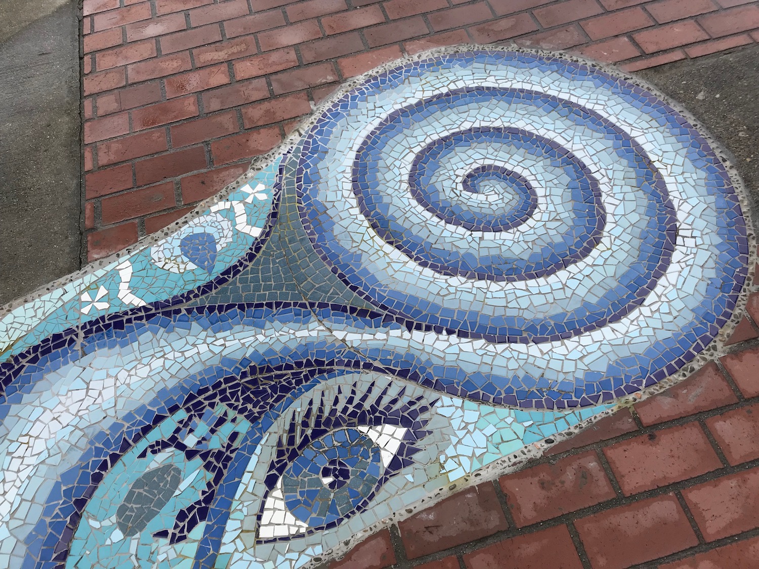 08-gabrielle-strong-public-art-mosaic-river-vernon-spiral-3.jpg