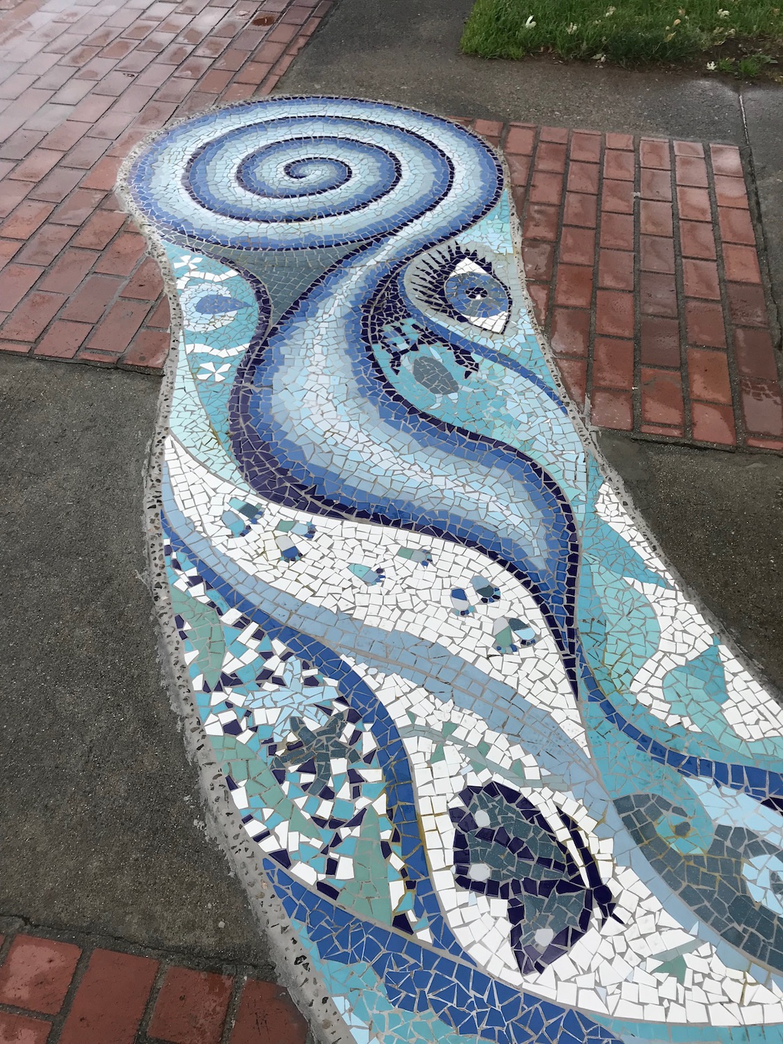 09-gabrielle-strong-public-art-mosaic-river-vernon-spiral-4.jpg