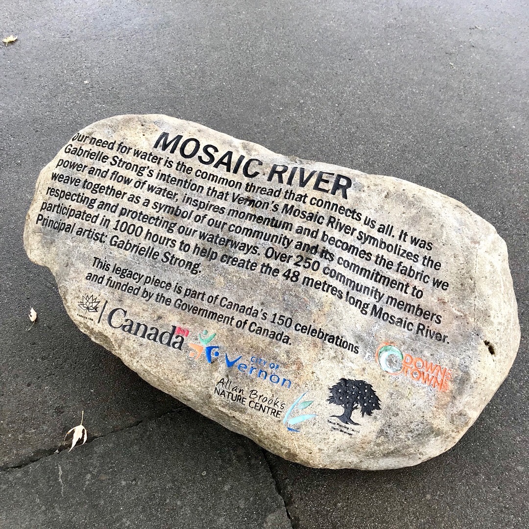 13-gabrielle-strong-public-art-mosaic-river-vernon-plaque.jpg