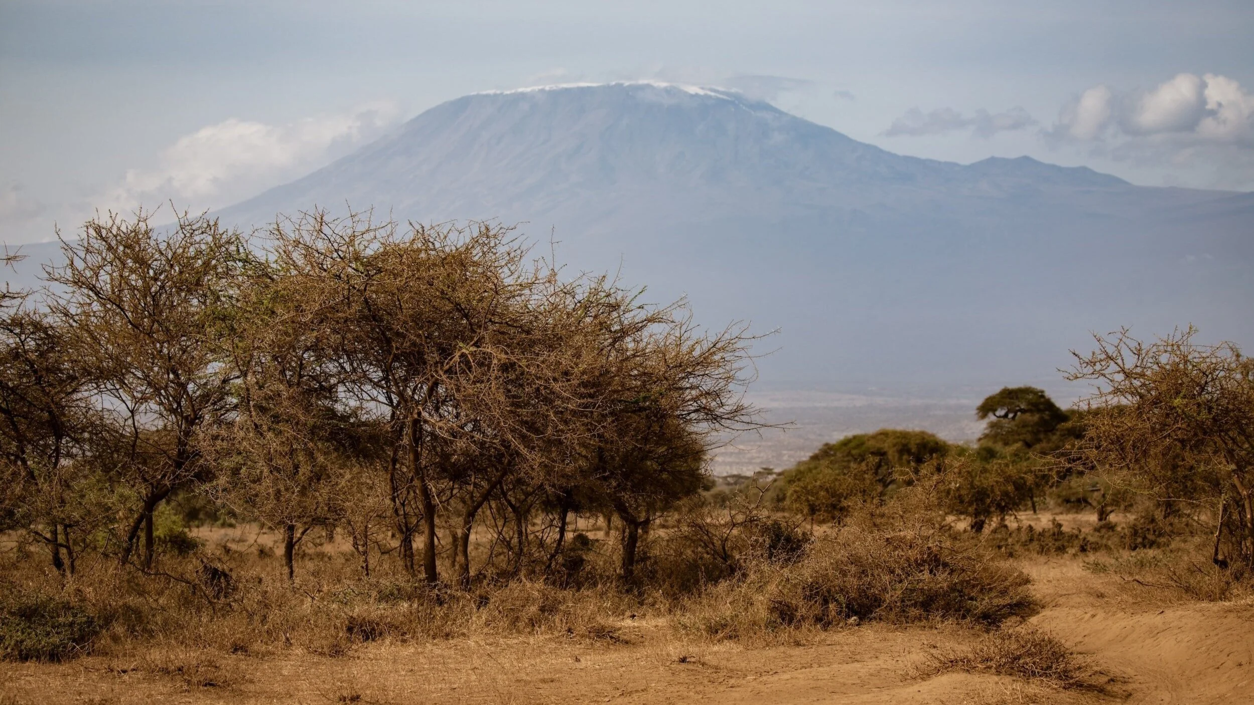 MT KILIMANJARO CLIMB BENEFITING CHARITY